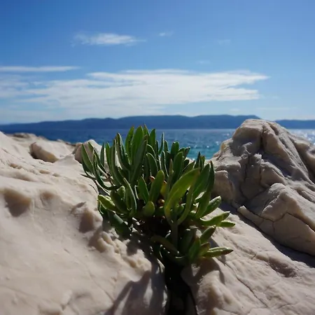 Rosanna - Intermezzo In Center Of 公寓 *