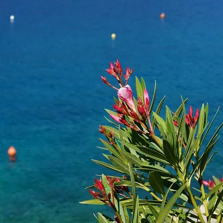 Apartment Rosanna - Intermezzo In Center Of Rabac