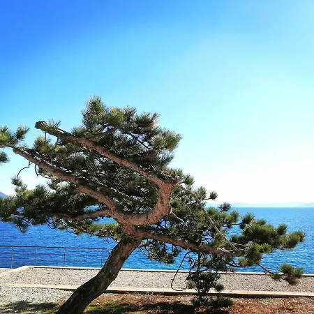 Rosanna - Intermezzo In Center Of * 拉巴克